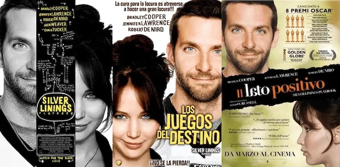 Silver Linings Playbook localisation