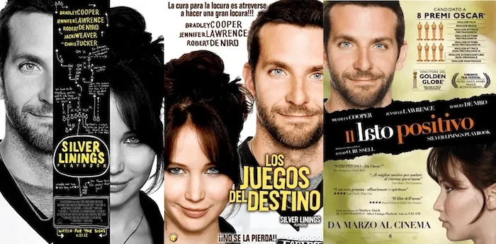 Silver Linings Playbook localisation